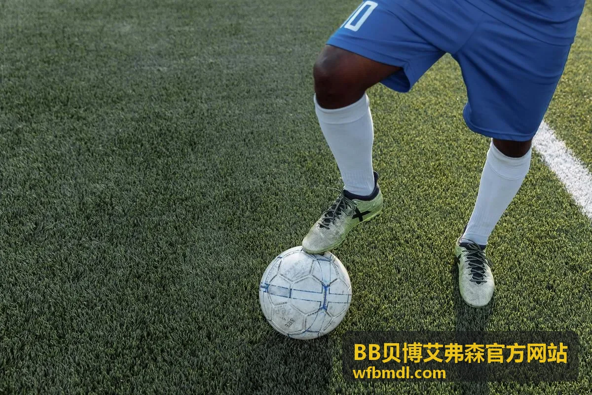 BB贝博艾弗森官方网站客户端界面背景图